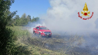 Pesaro - Incendio nella zona industriale, in fiamme oltre un ettaro di terreno